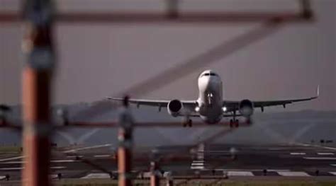 Delayed passengers growl after a bear escapes from crate in cargo hold of an Iraqi plane in Dubai